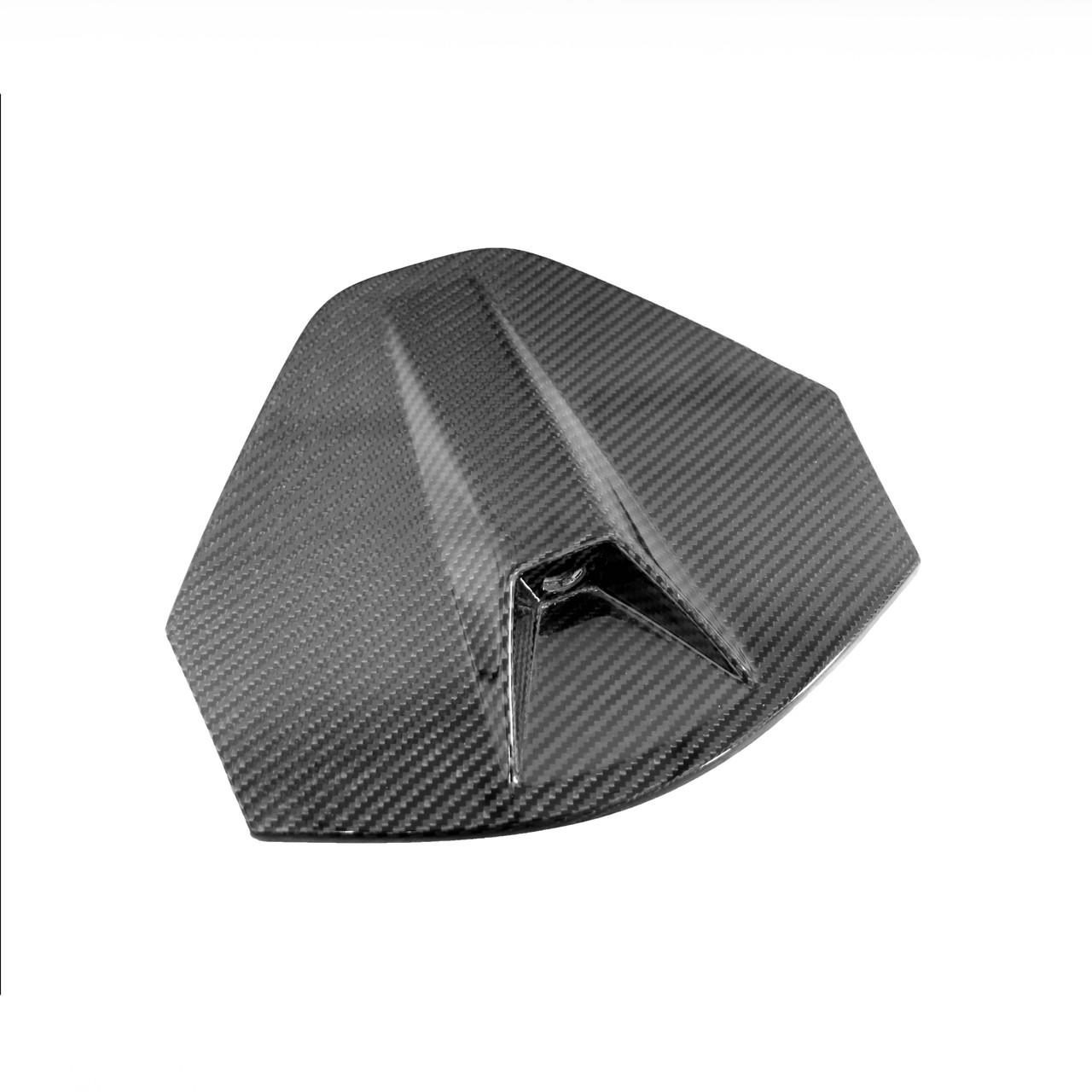 Fabspeed Carbon Fiber Rear Camera Decklid Housing Panel - C8 Corvette