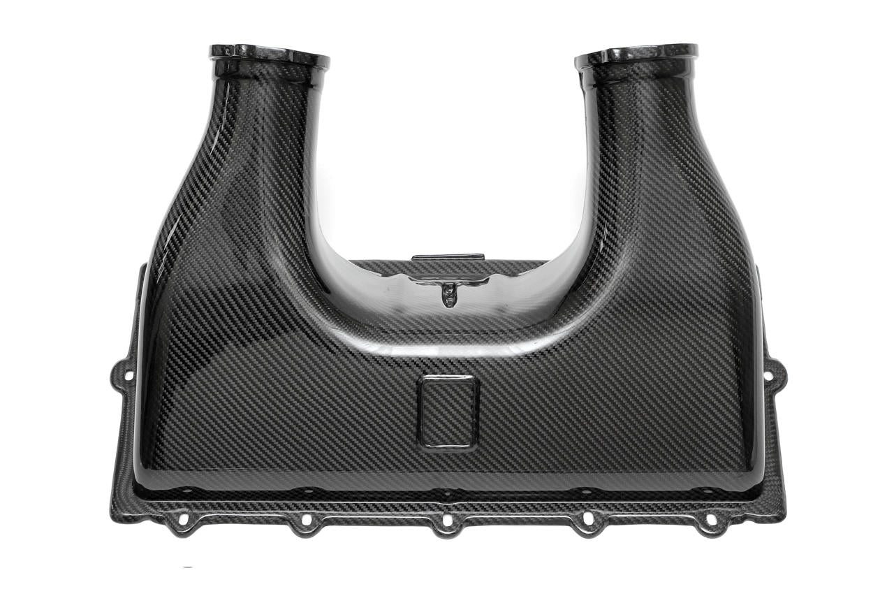 Fabspeed Ferrari 458 Italia Carbon Fiber Airbox Cover (2010-2015)